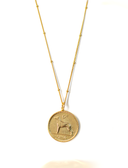6D Irish Wolfhound  | Coin Necklace | 18K Gold Plated