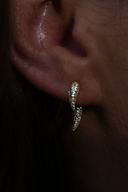 Spike wing earrings | 18k Gold