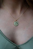 6D Irish Wolfhound  | Coin Necklace | 18K Gold Plated