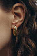 Wild Dome Earrings | 24K GOLD FILLED | Limited Edition